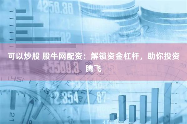 可以炒股 股牛网配资：解锁资金杠杆，助你投资腾飞