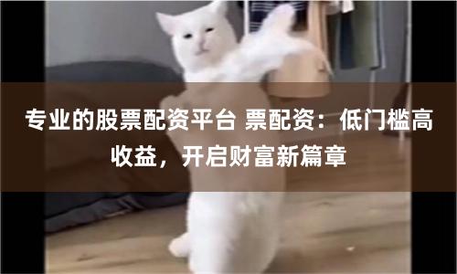专业的股票配资平台 票配资：低门槛高收益，开启财富新篇章