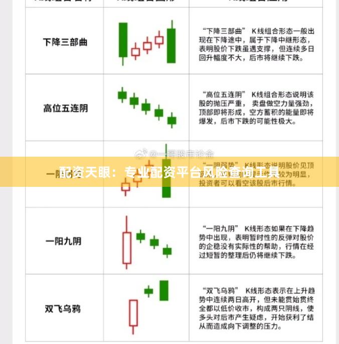 配资天眼：专业配资平台风险查询工具