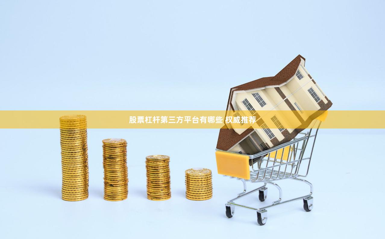 股票杠杆第三方平台有哪些 权威推荐